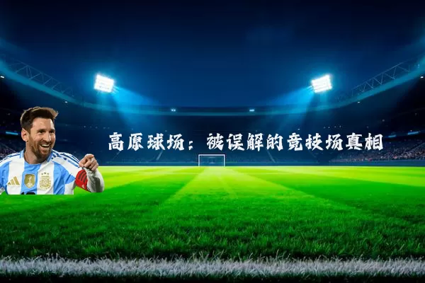 高原球场：被误解的竞技场真相