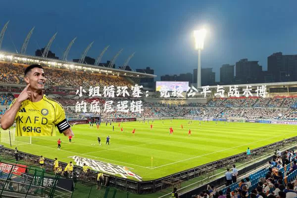 小组循环赛：竞技公平与战术博弈的底层逻辑